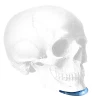 CEAC Chin | Conform™ Extended Anatomical Chin