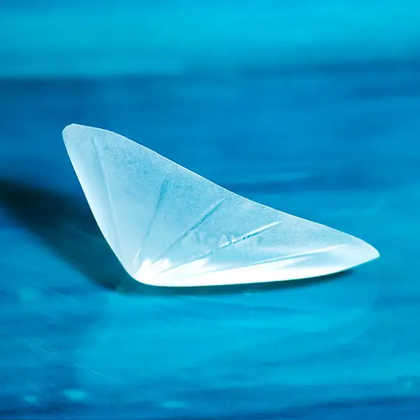 Mandibular İmplantlar